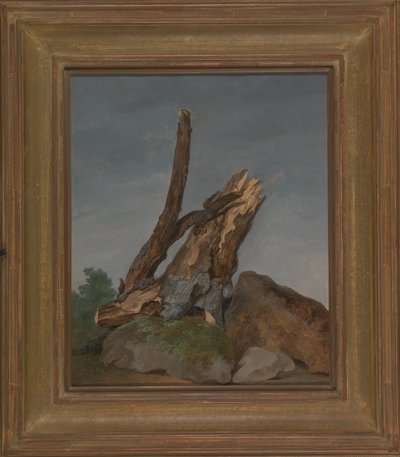 Study of Rocks and Branches by George Augustus Wallis